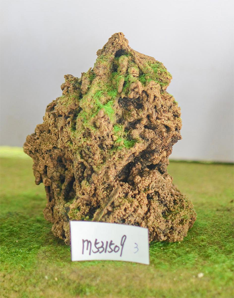 m531509