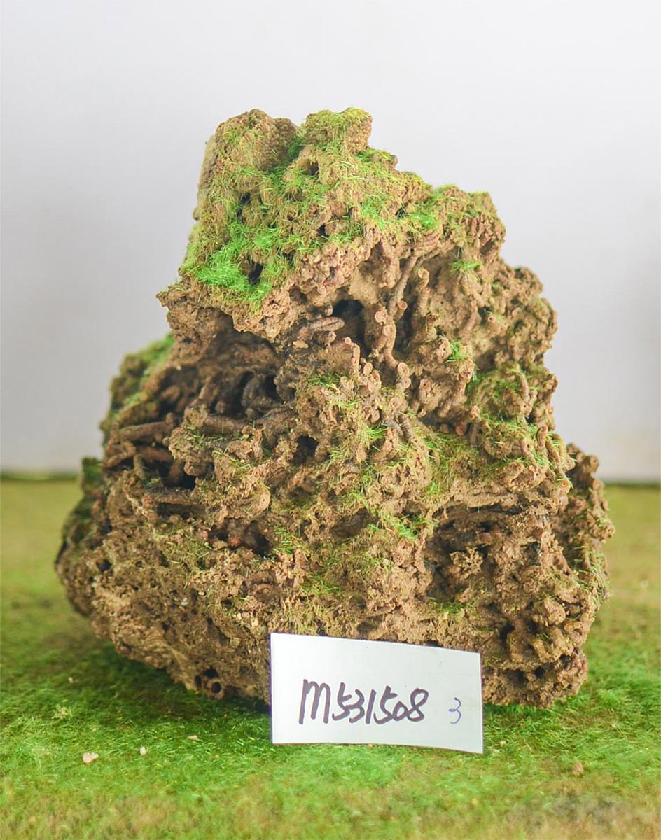 m531508