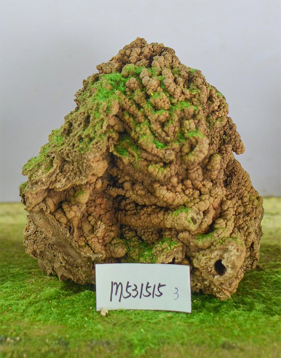 m531515