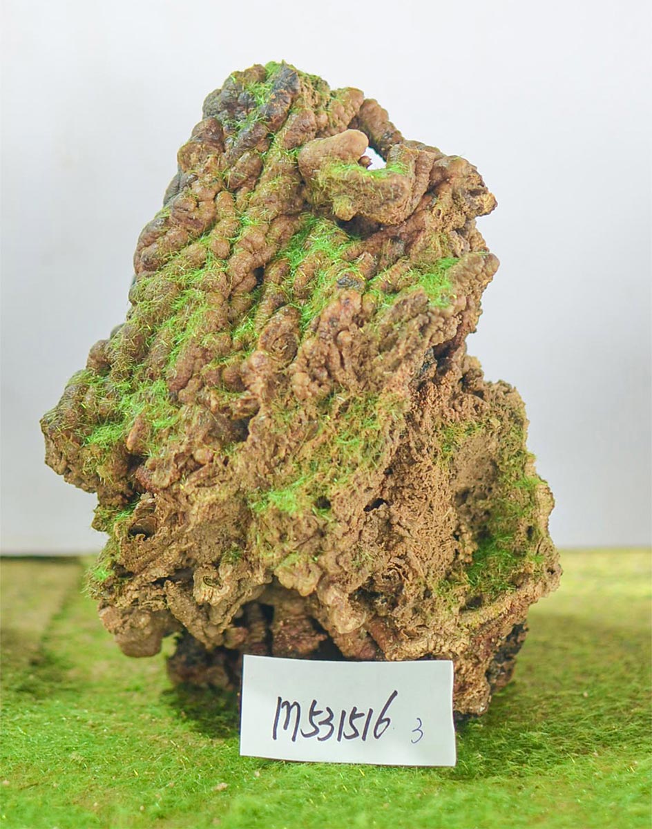 m531516