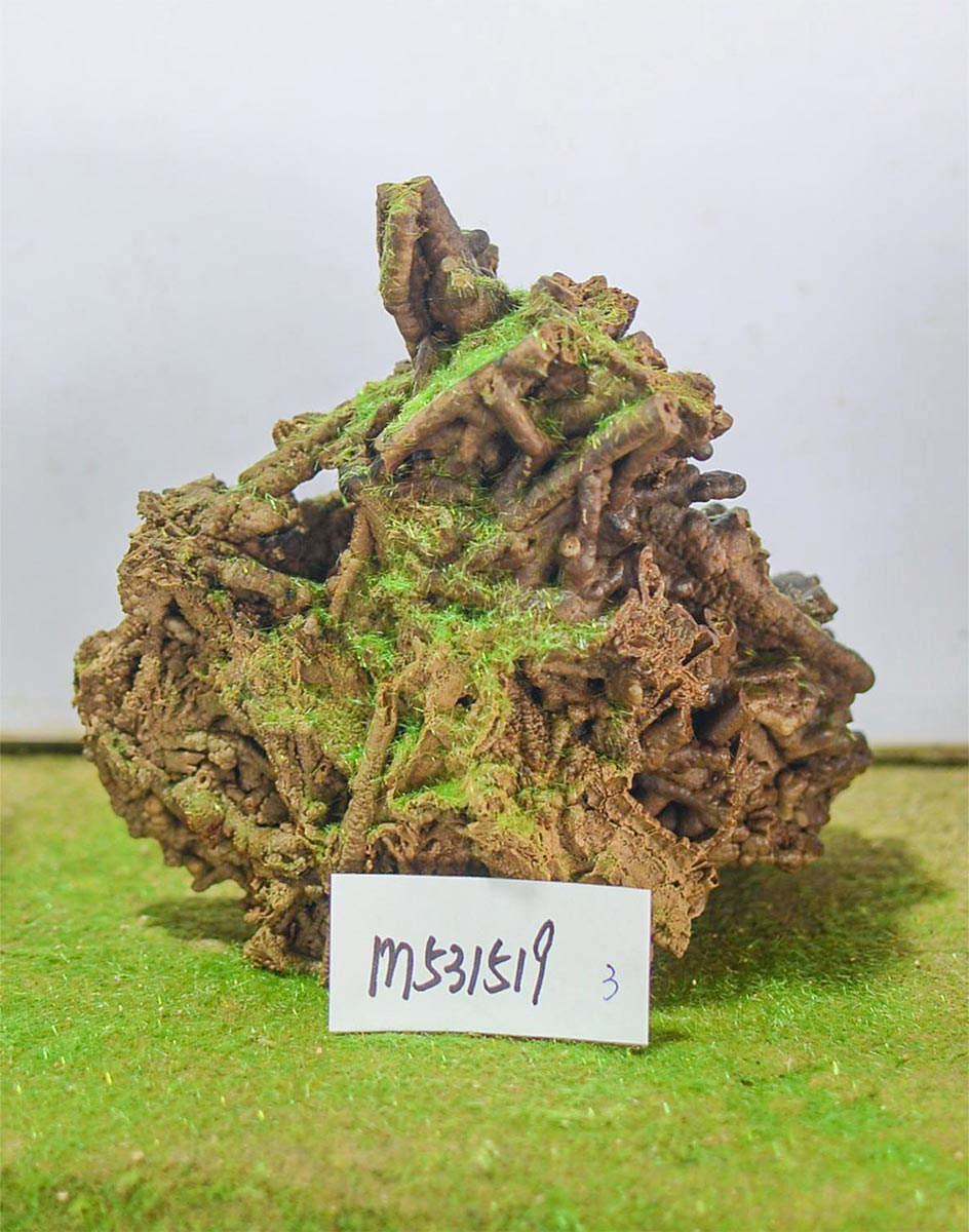 m531519