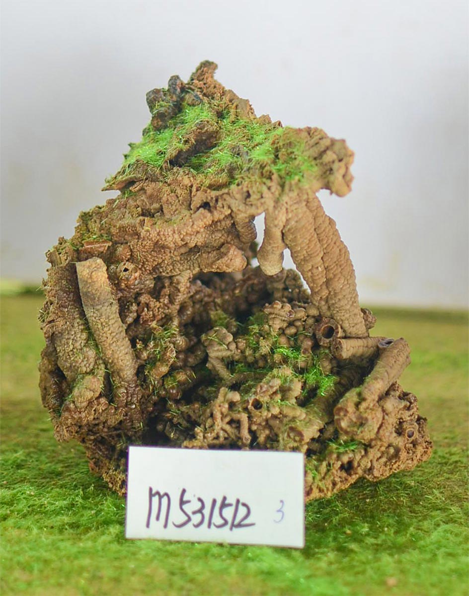 m531512