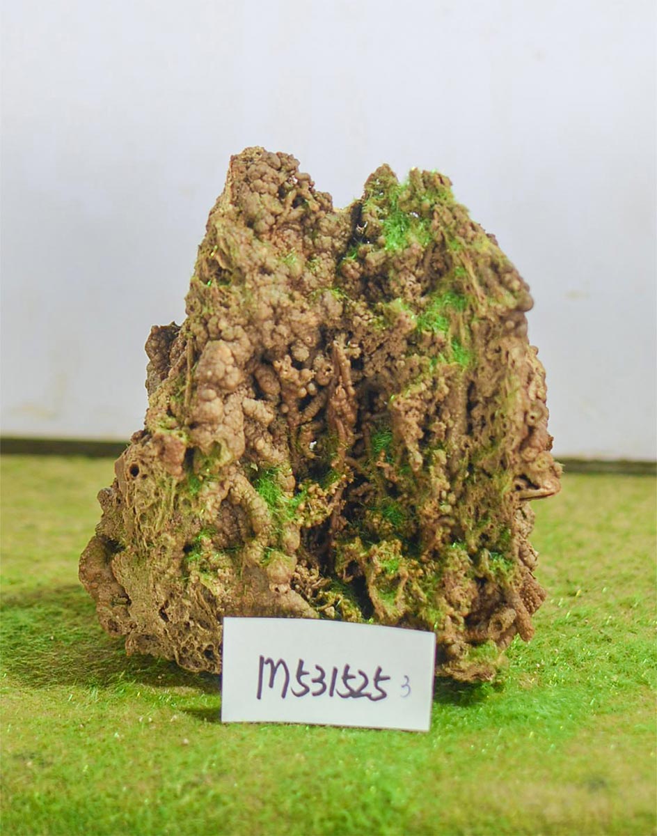 m531525