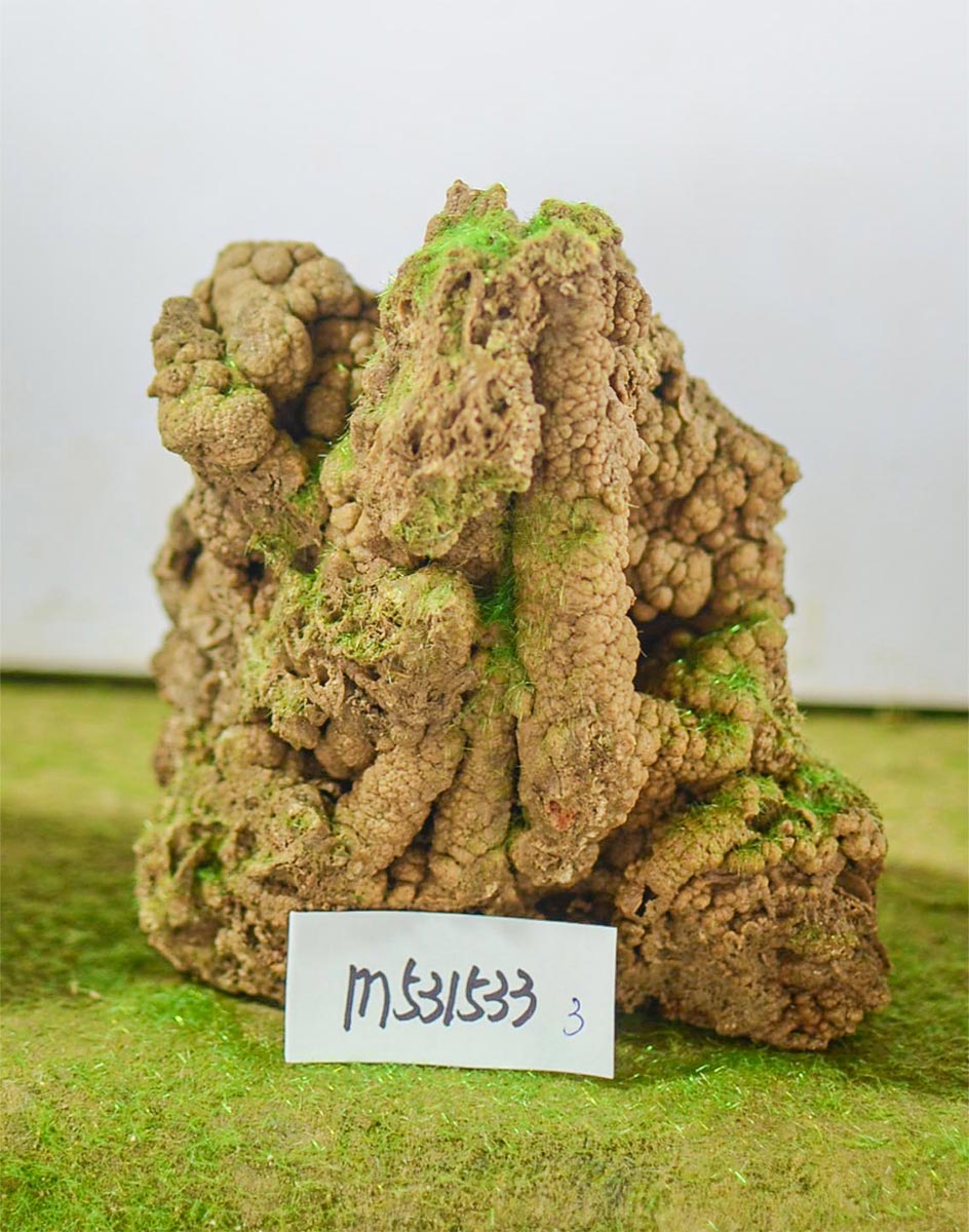 m531533
