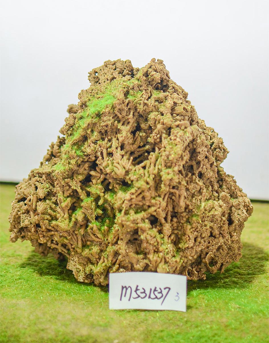 m531537