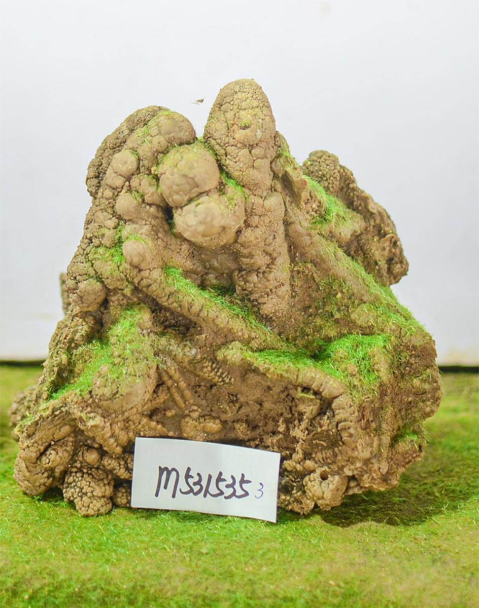 m531535
