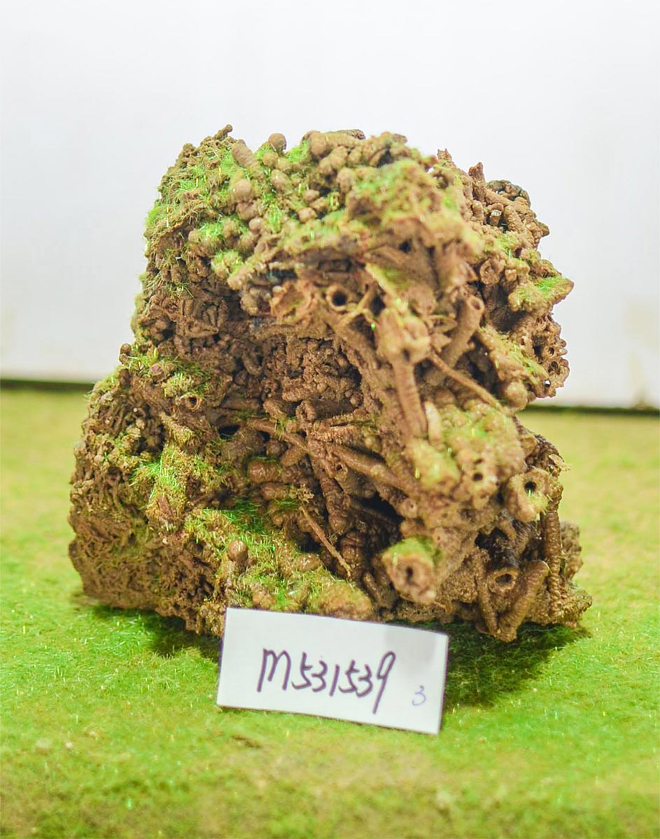 m531539