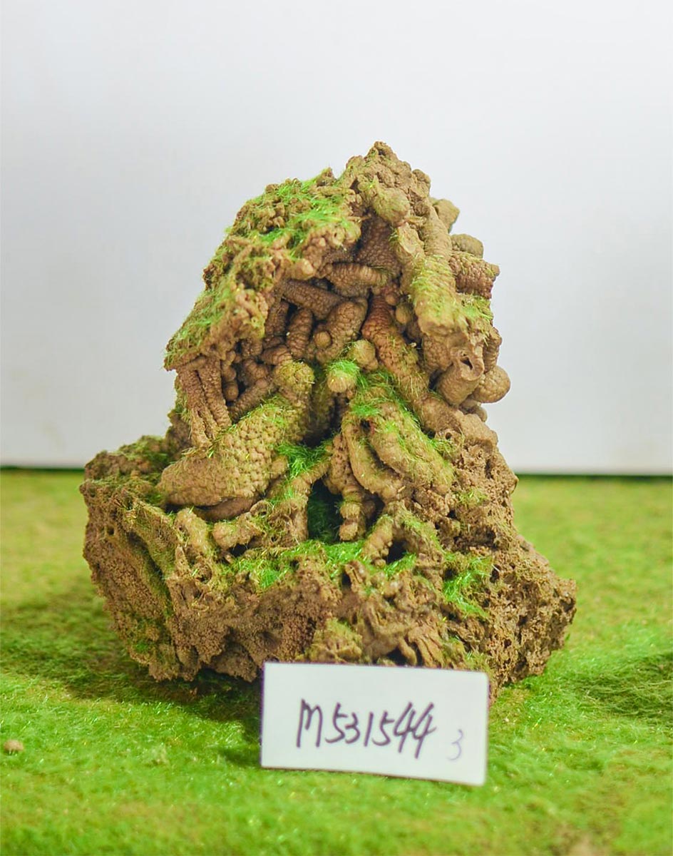 m531544