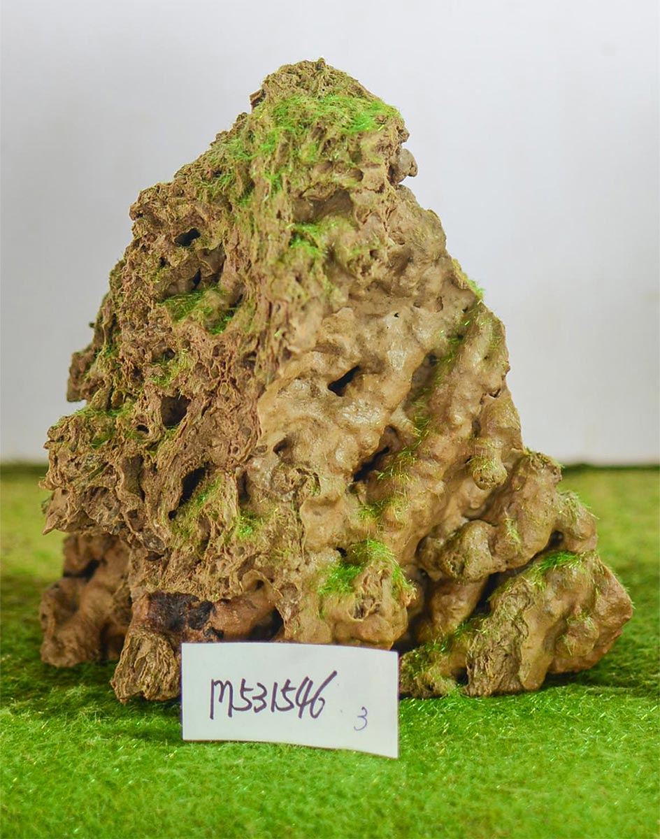 m531546