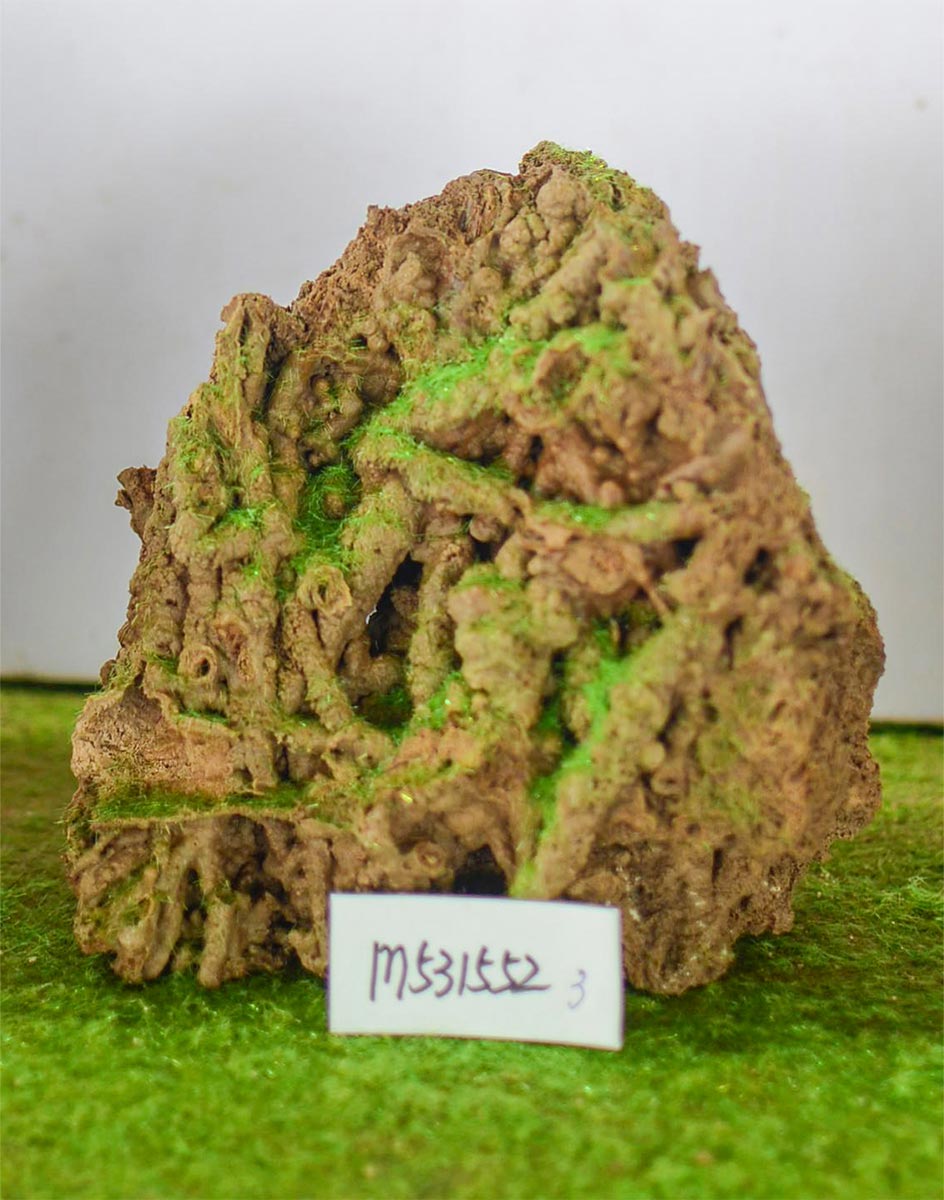 m531552