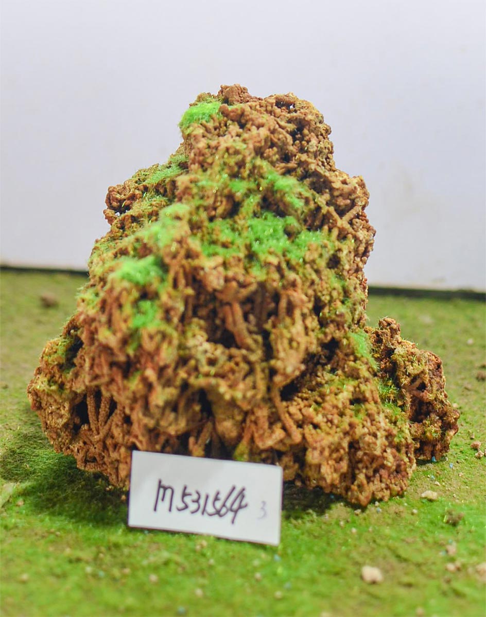m531564
