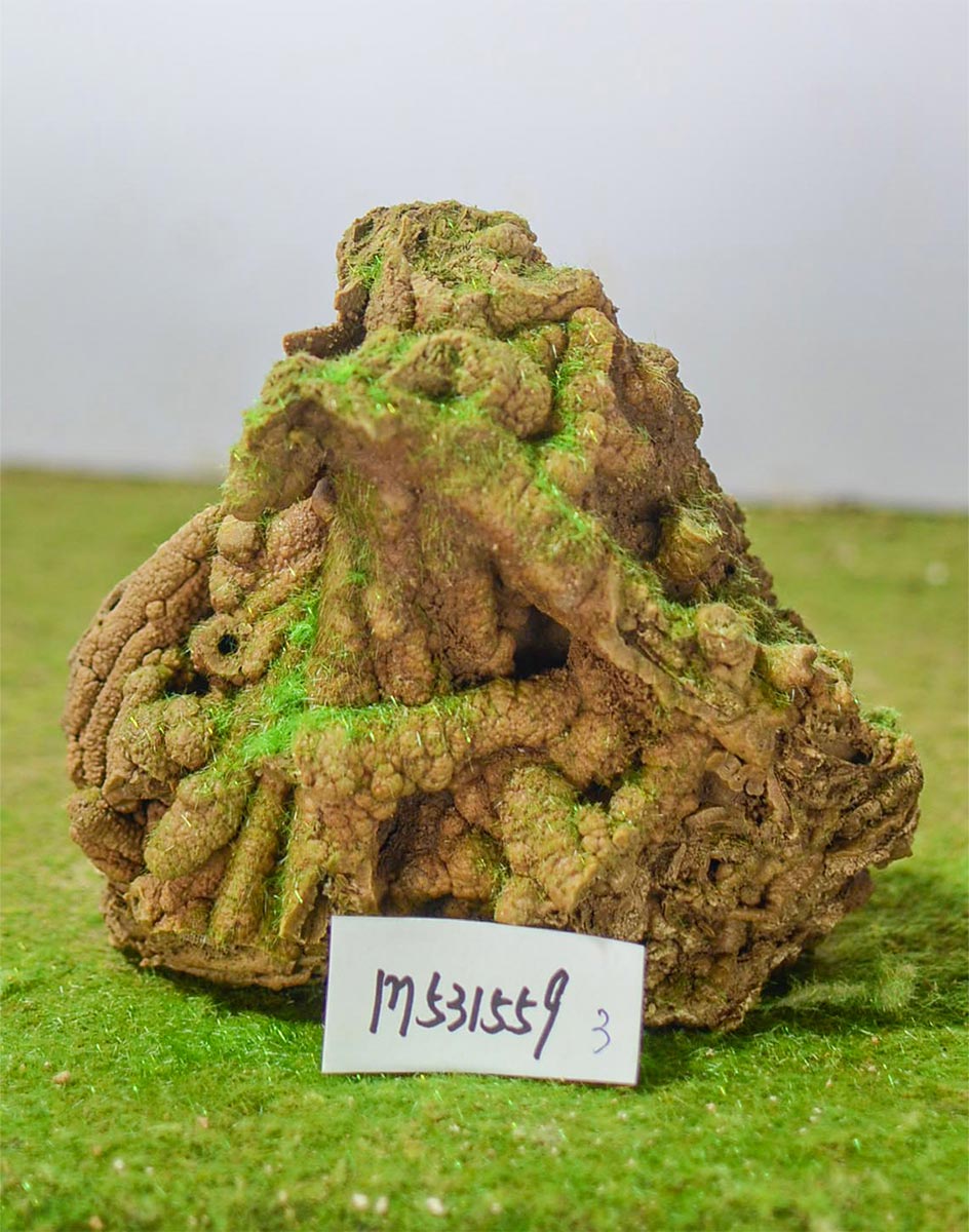 m531559