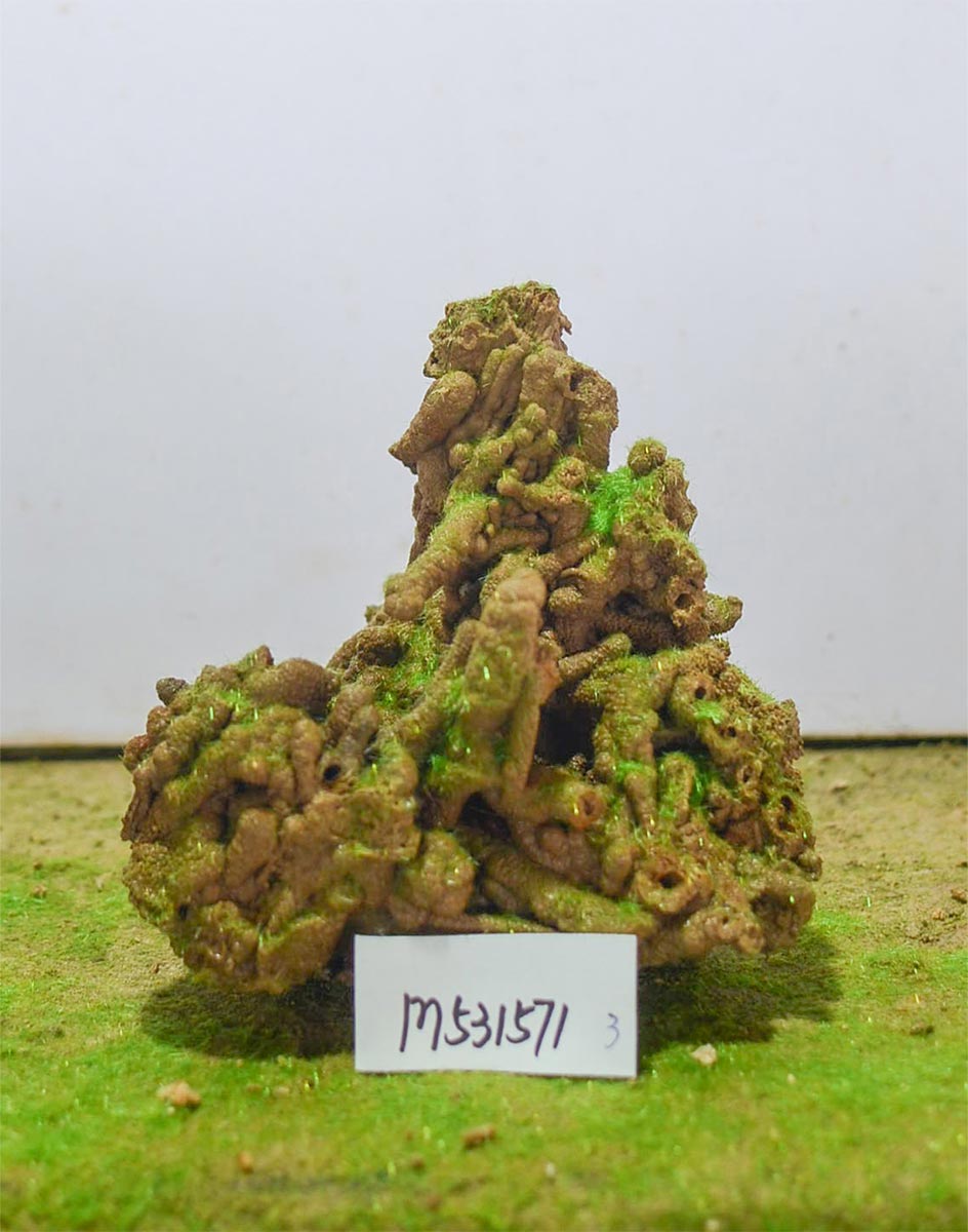 m531571