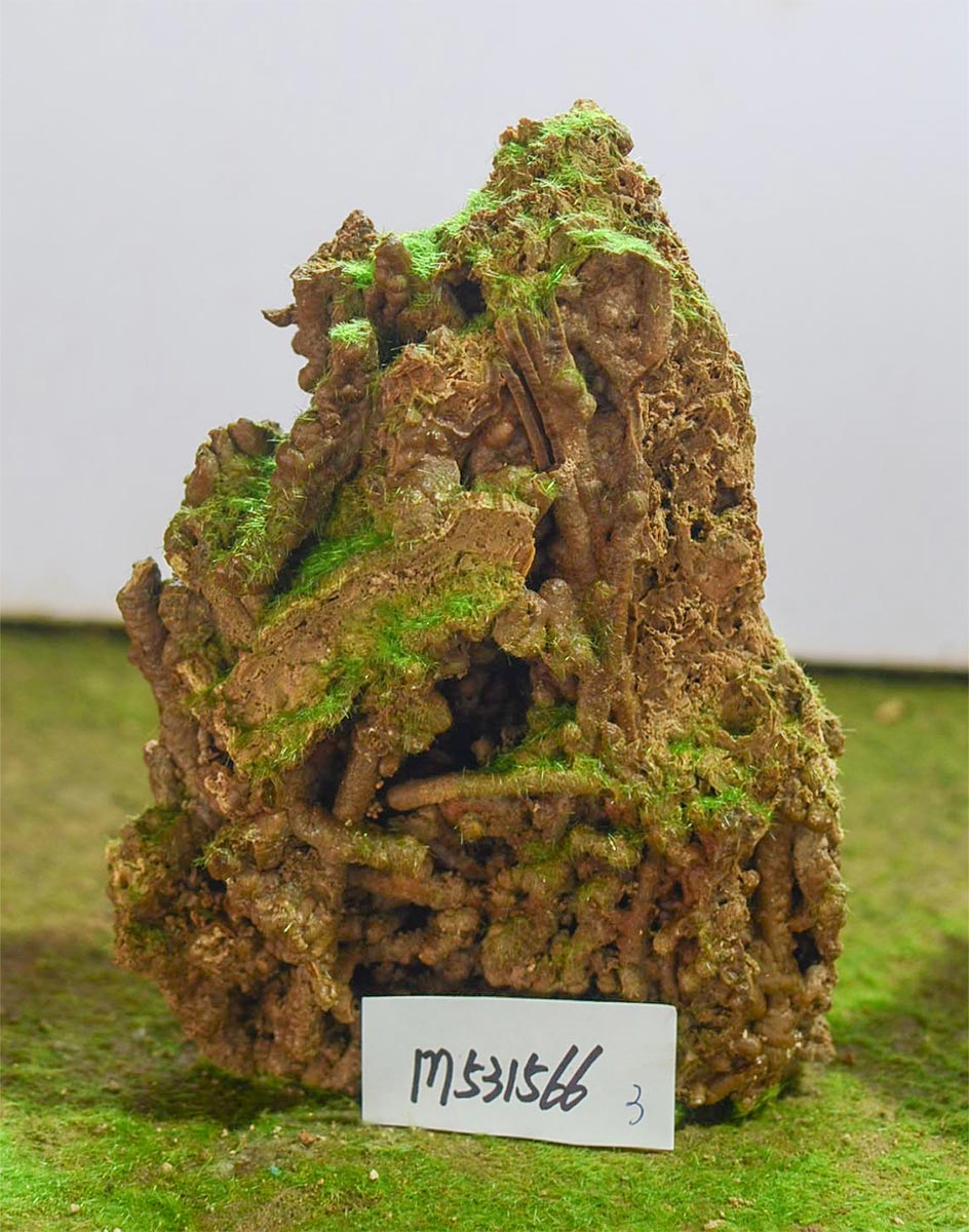 m531566