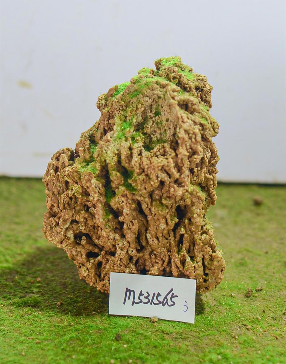 m531565