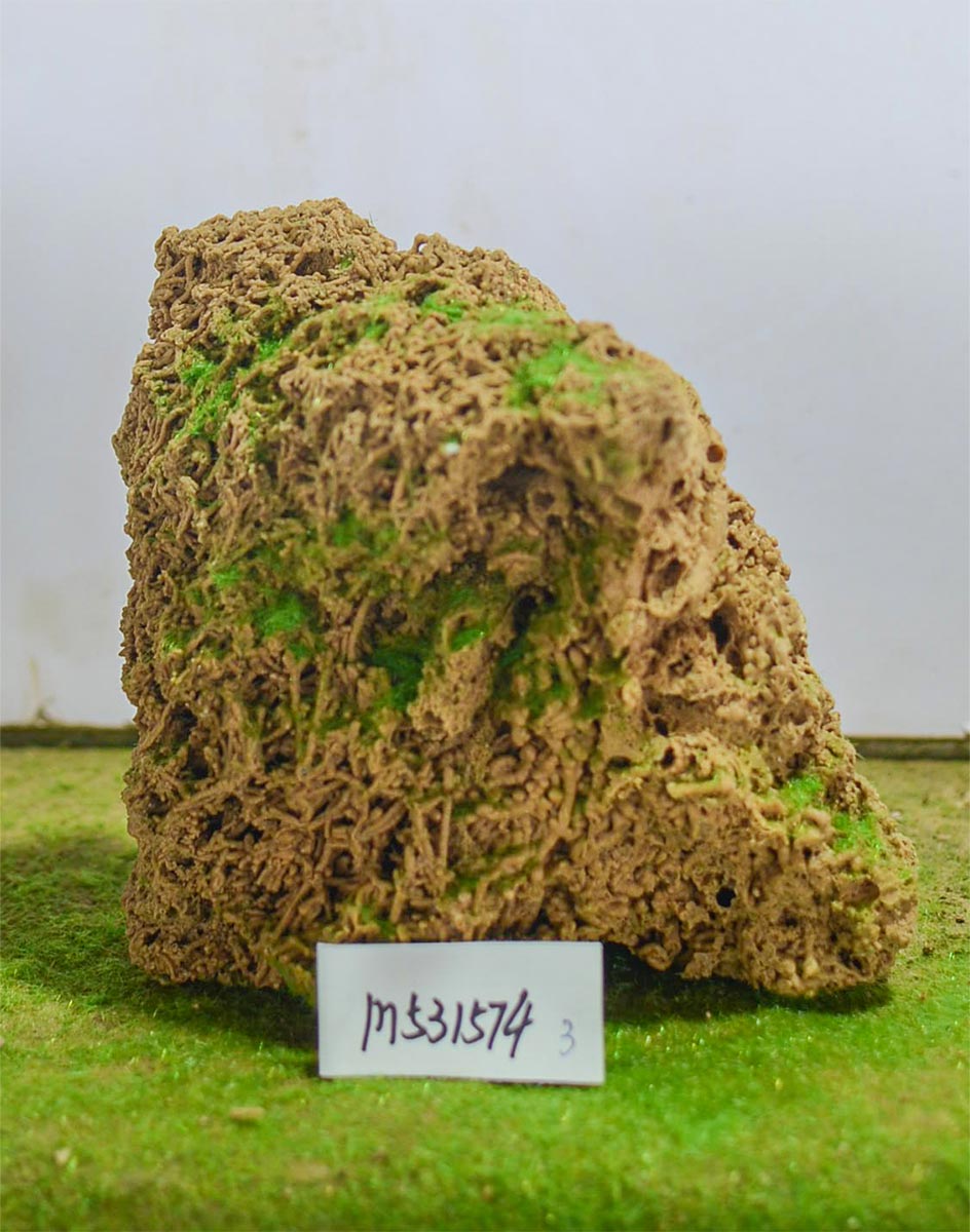 m531574