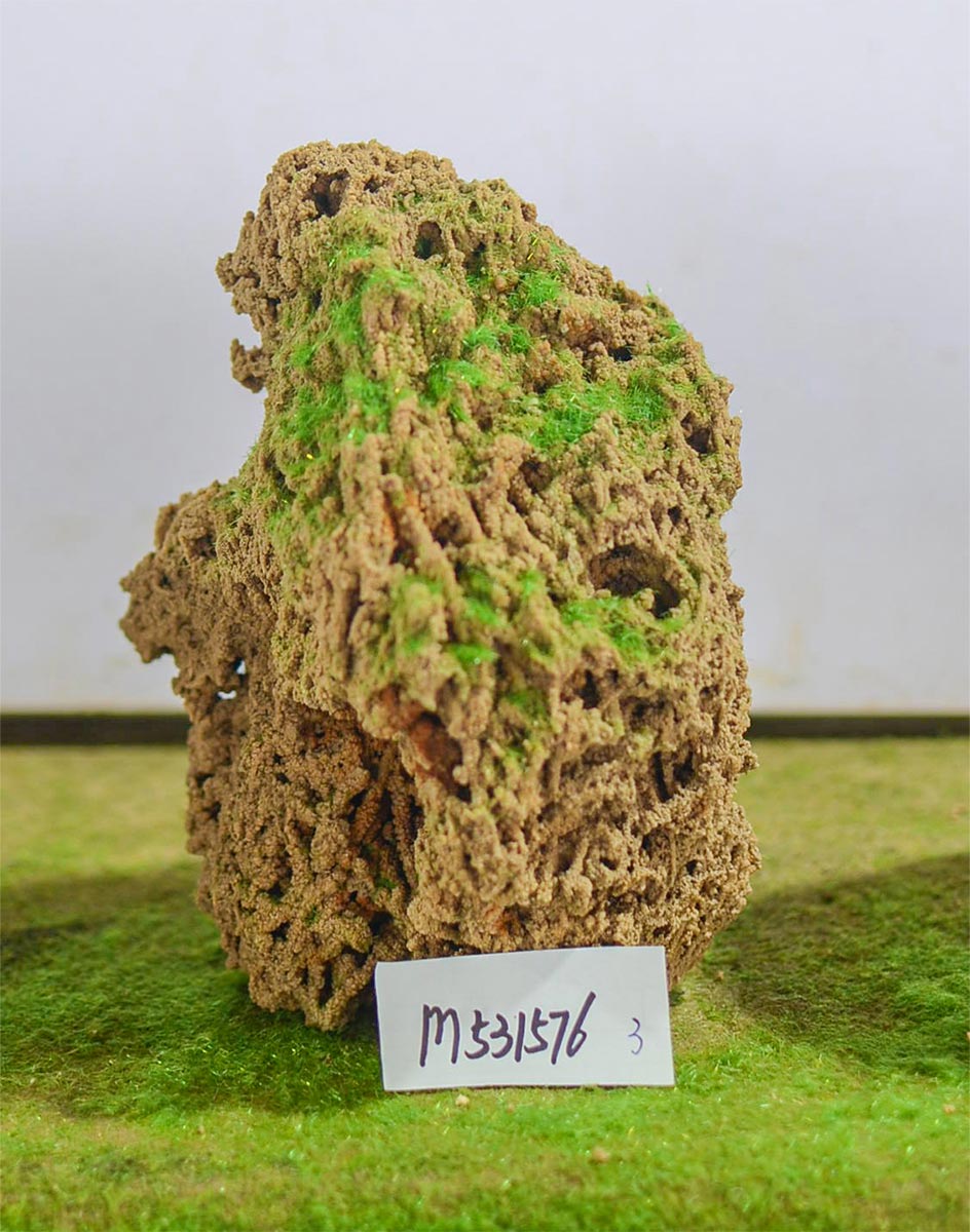 m531576