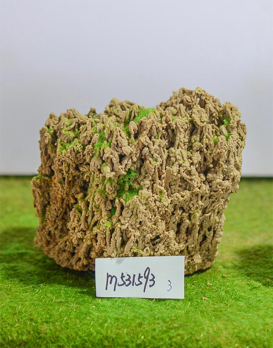 m531593