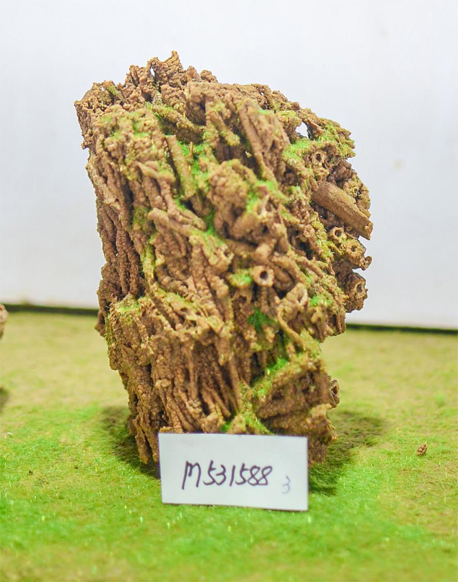 m531588