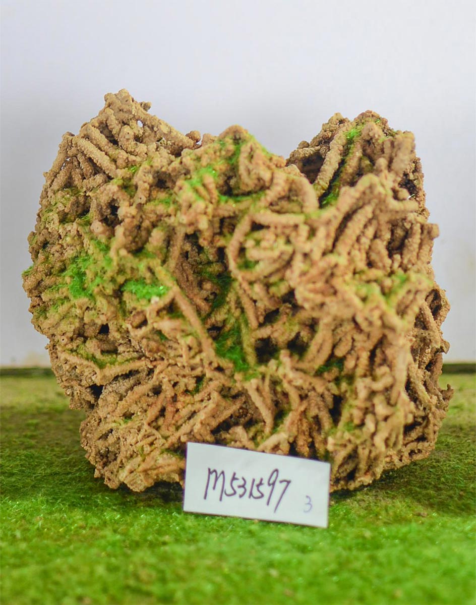 m531597