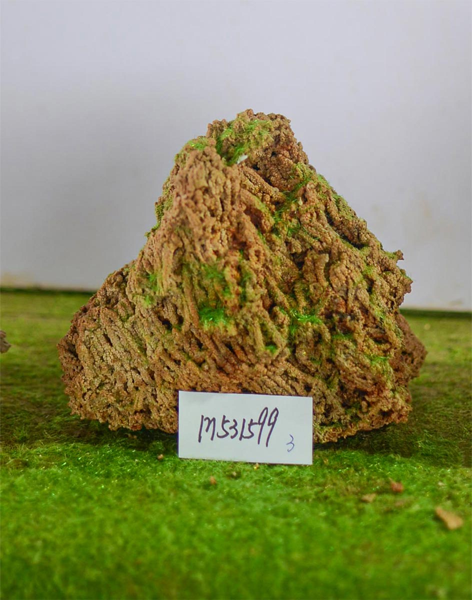 m531599