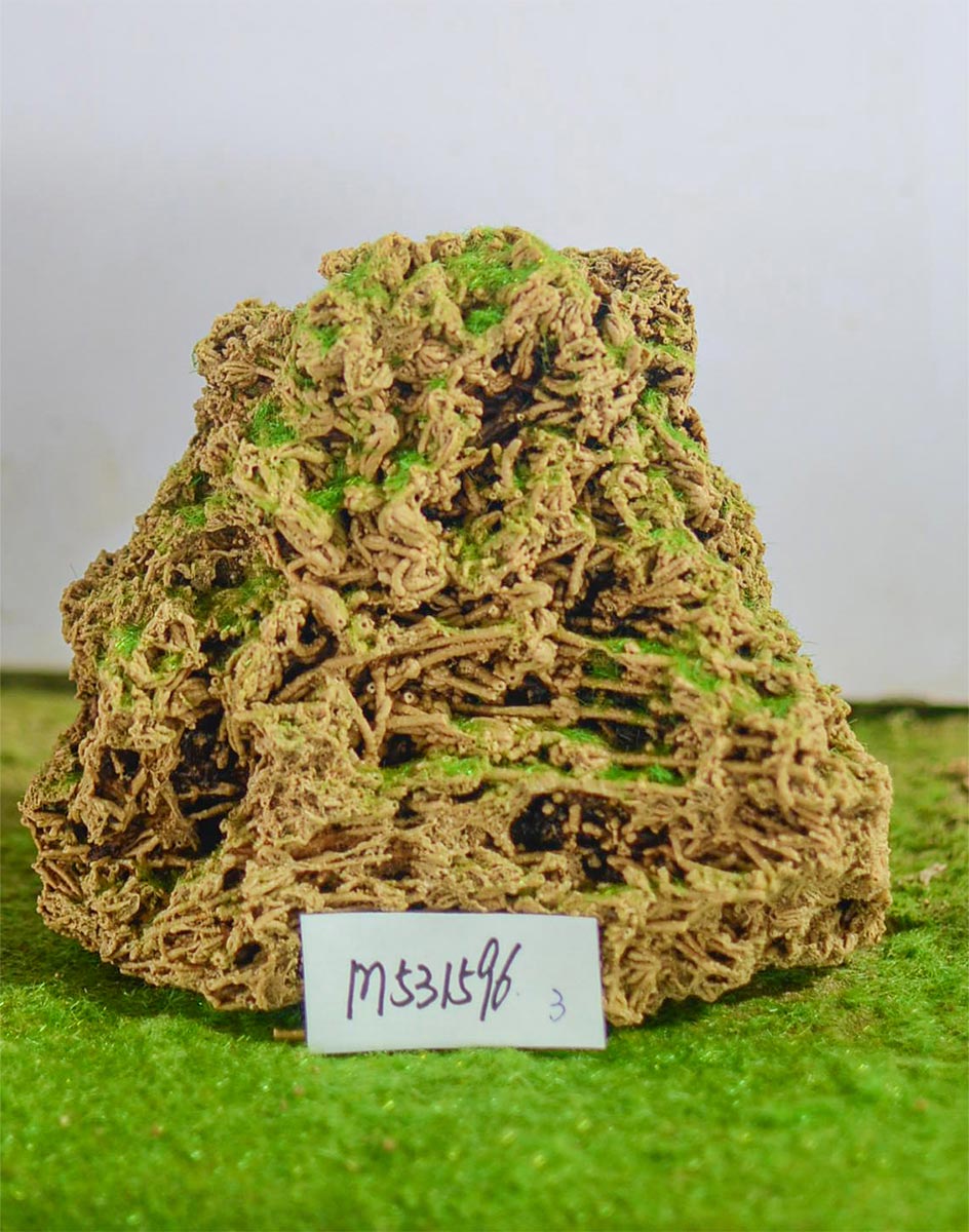 m531596