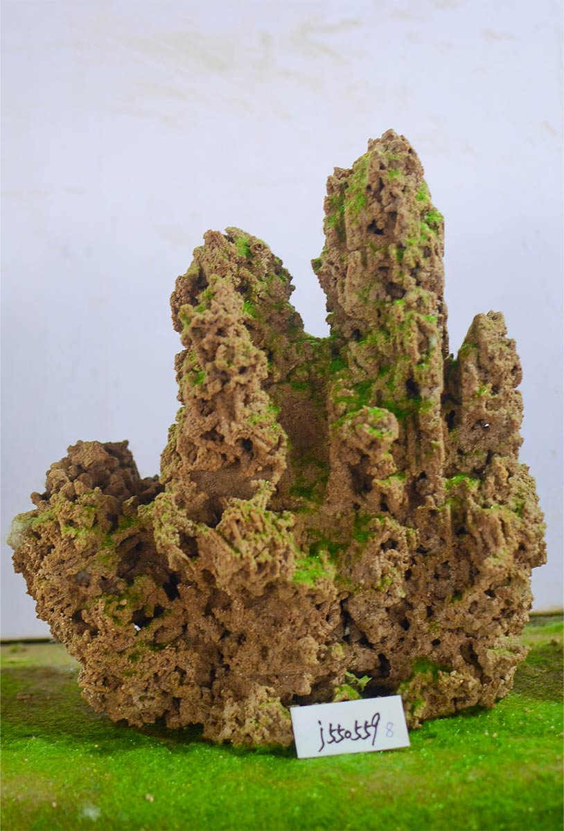 j550559