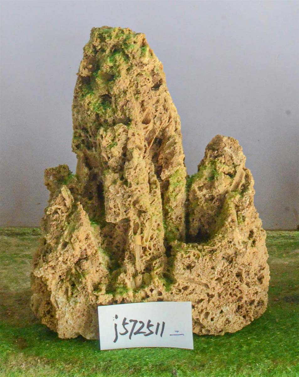 j572511