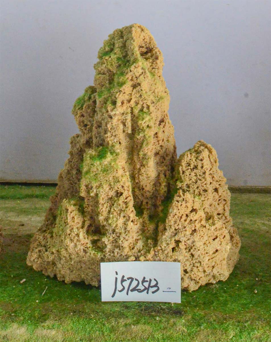 j572513