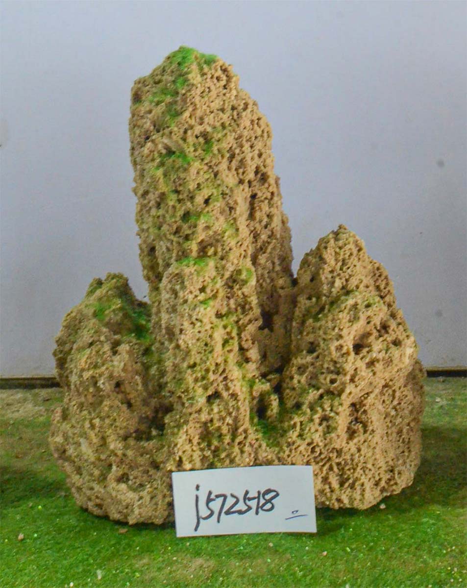j572518