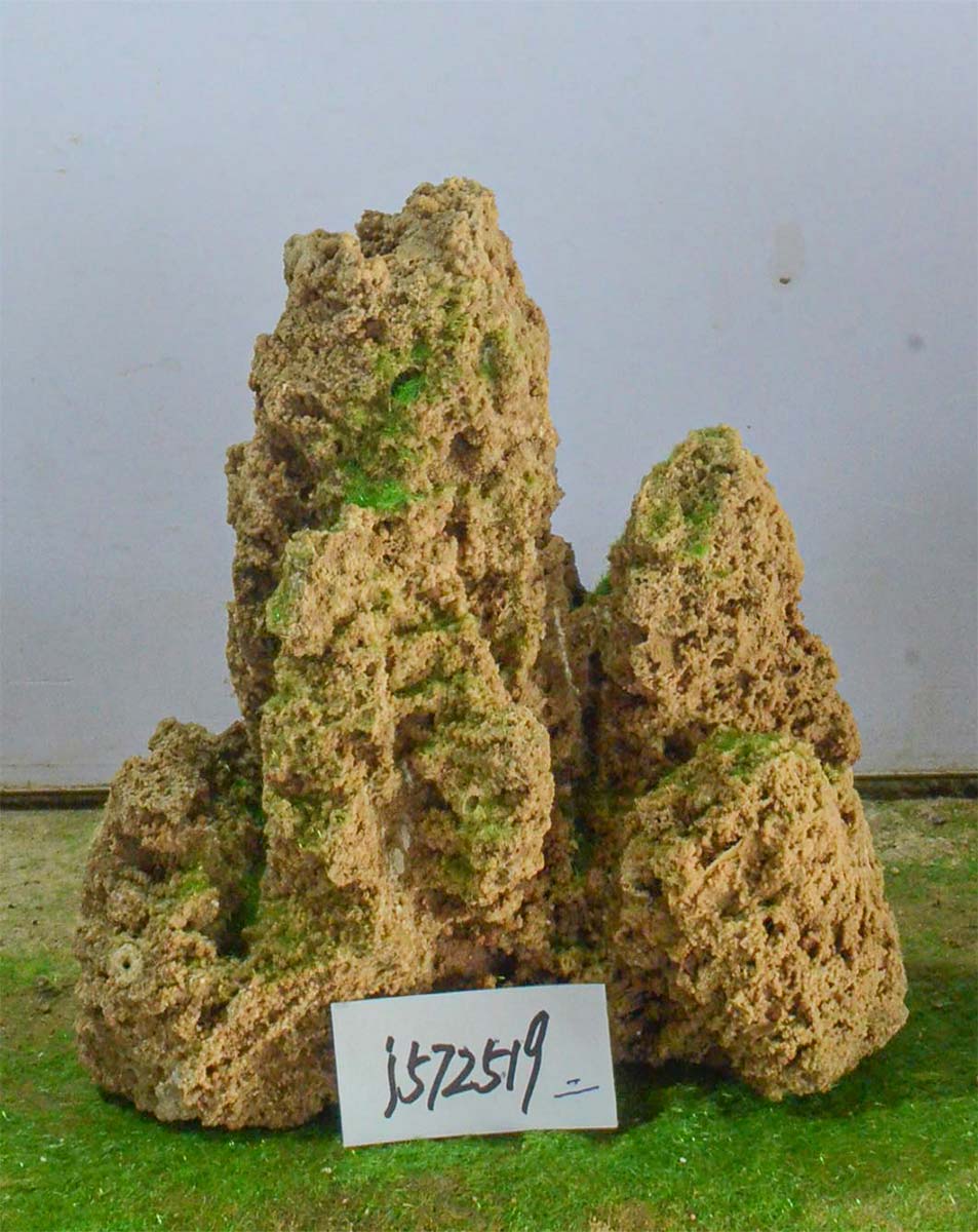 j572519