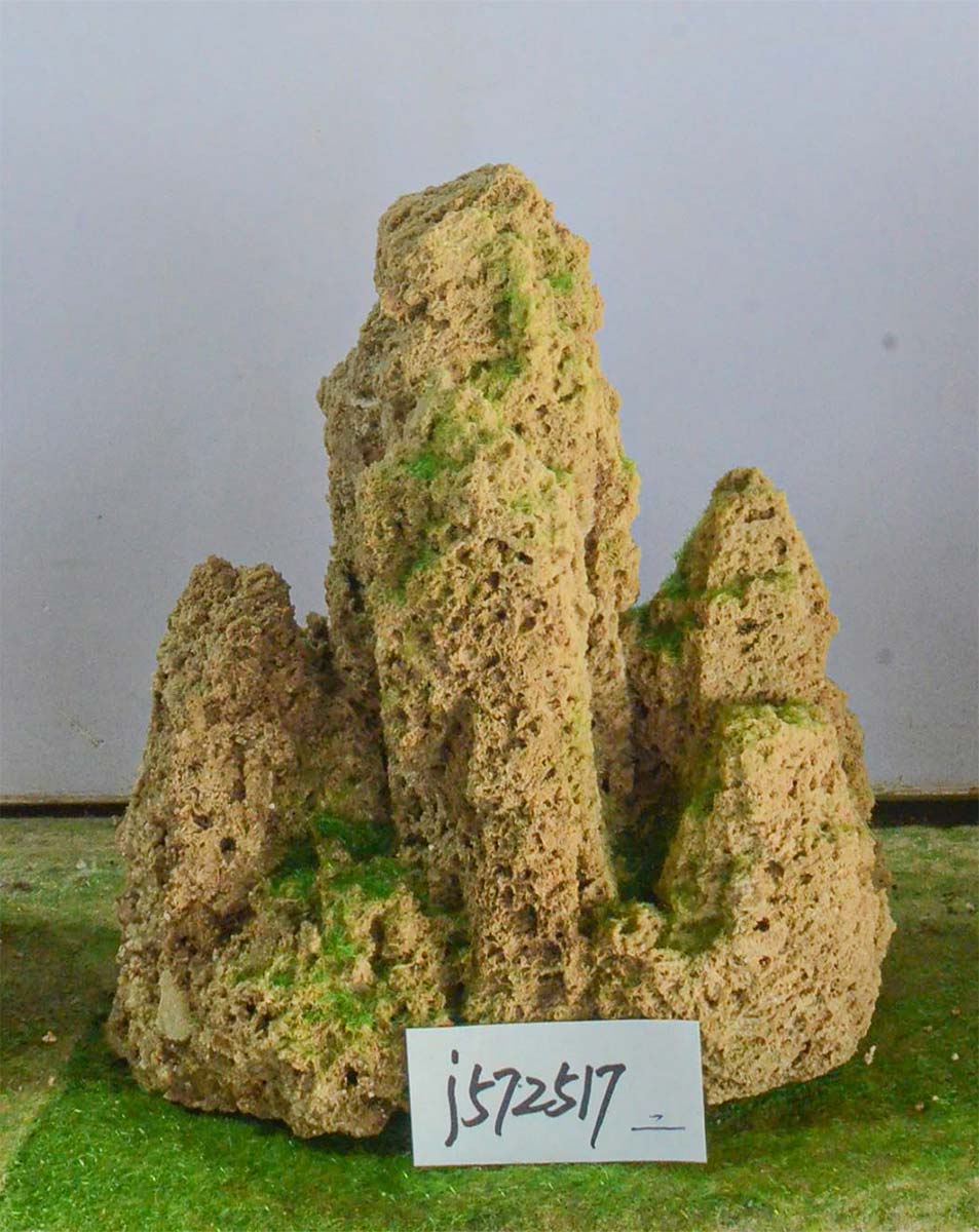 j572517
