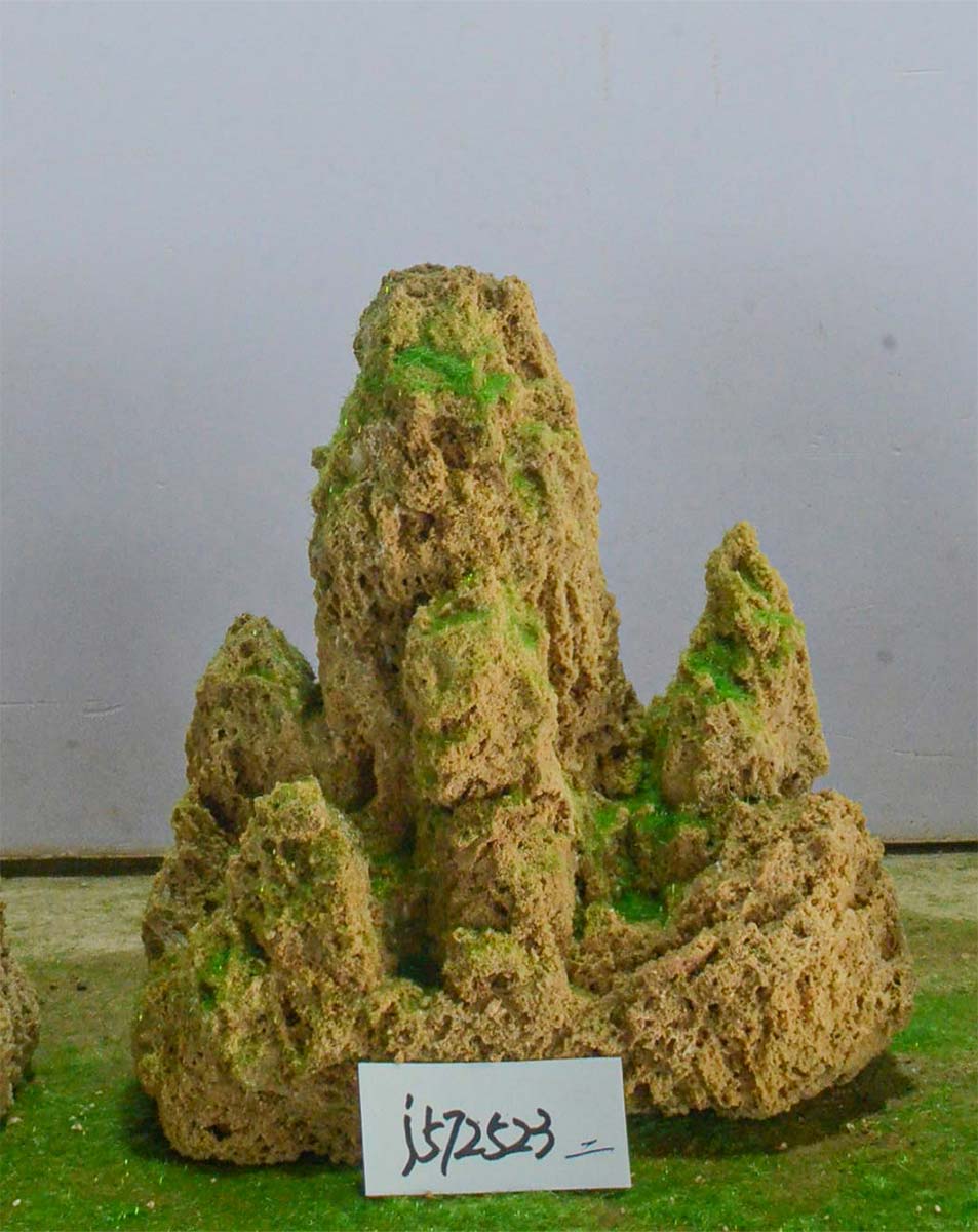 j572523