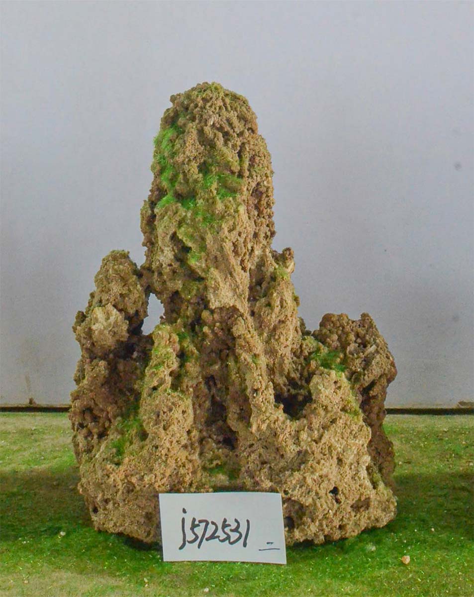 j572531