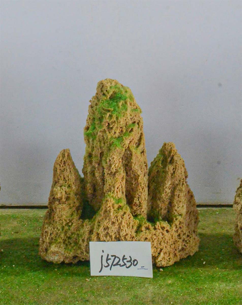 j572530