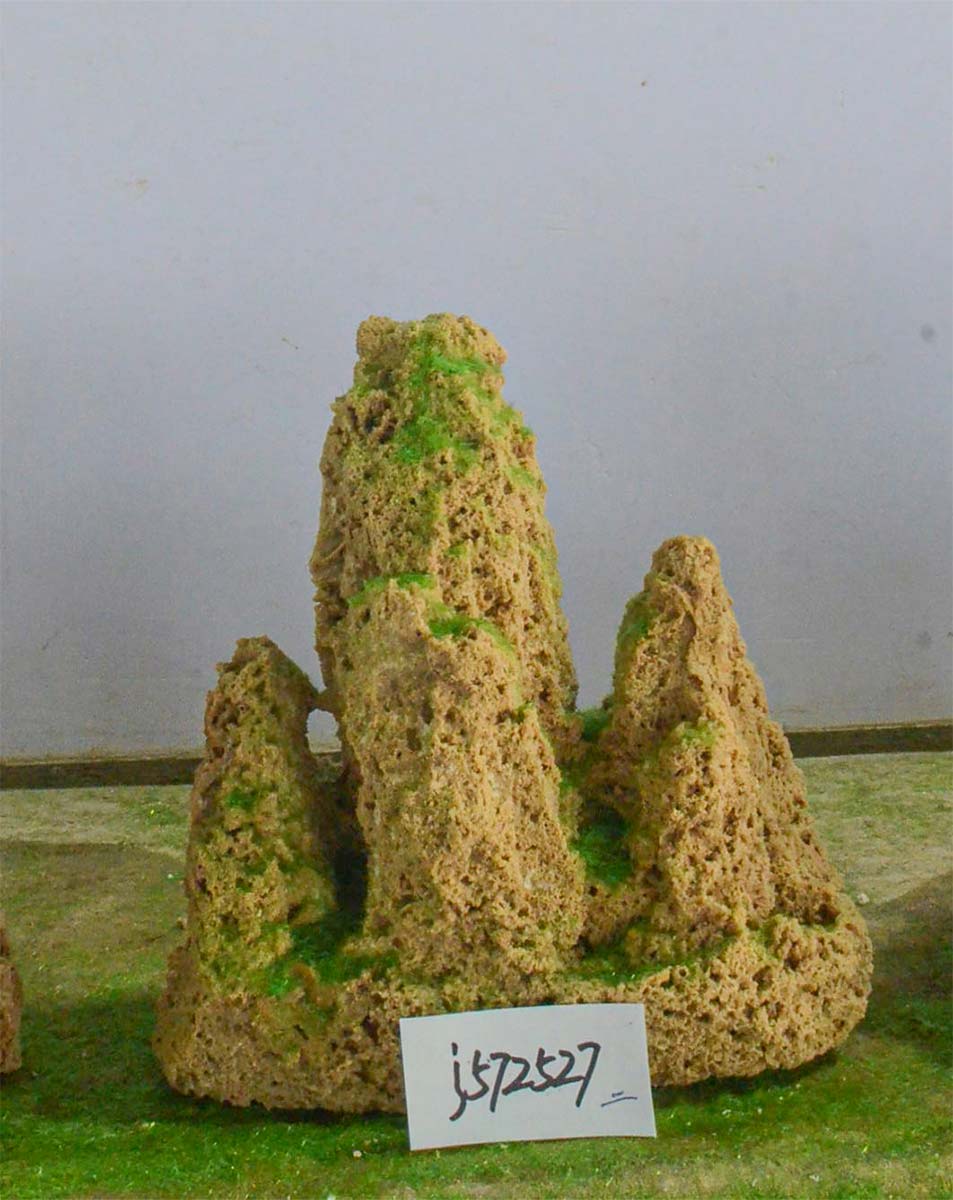 j572527