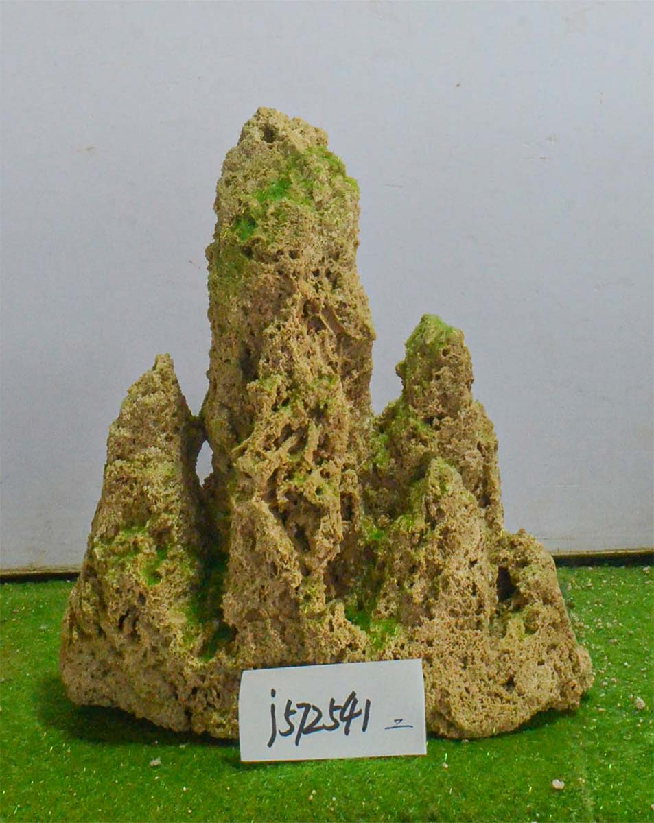 j572541