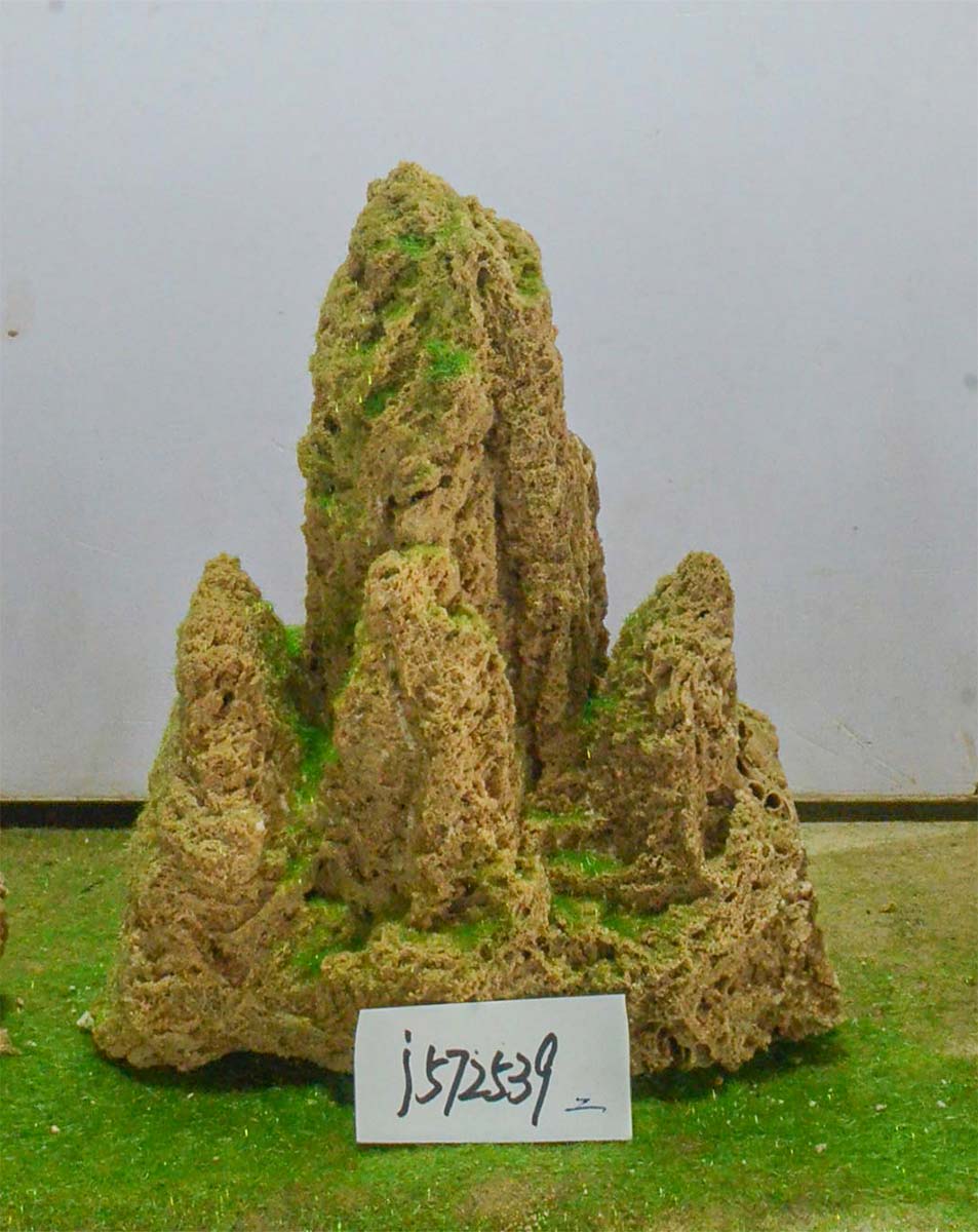 j572539