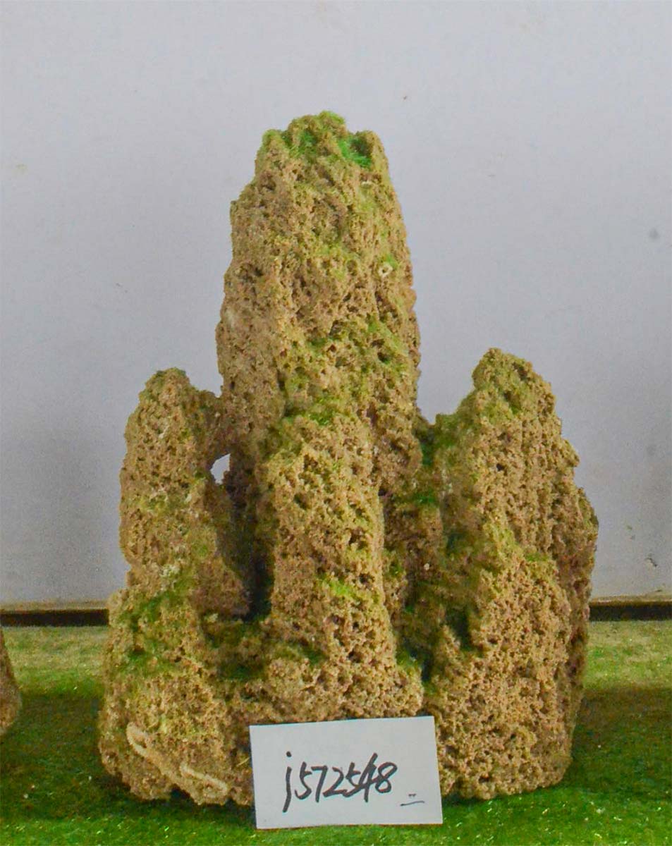 j572548