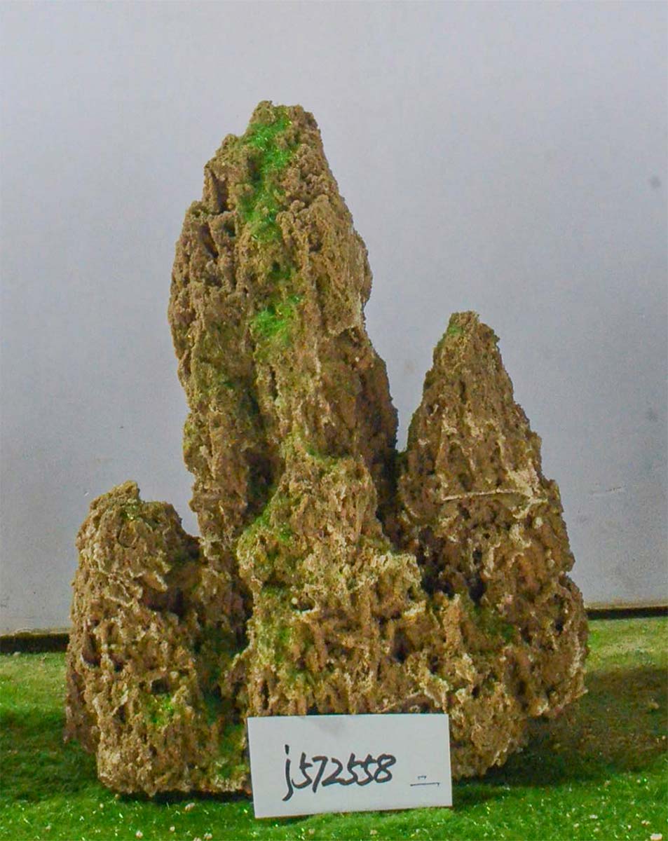 j572558
