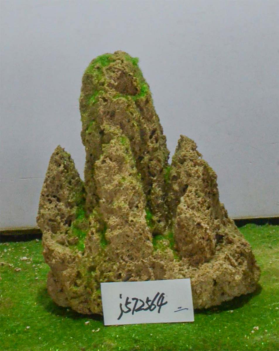 j572564