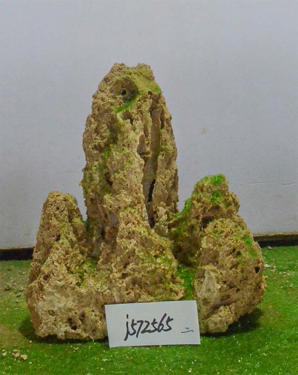 j572565