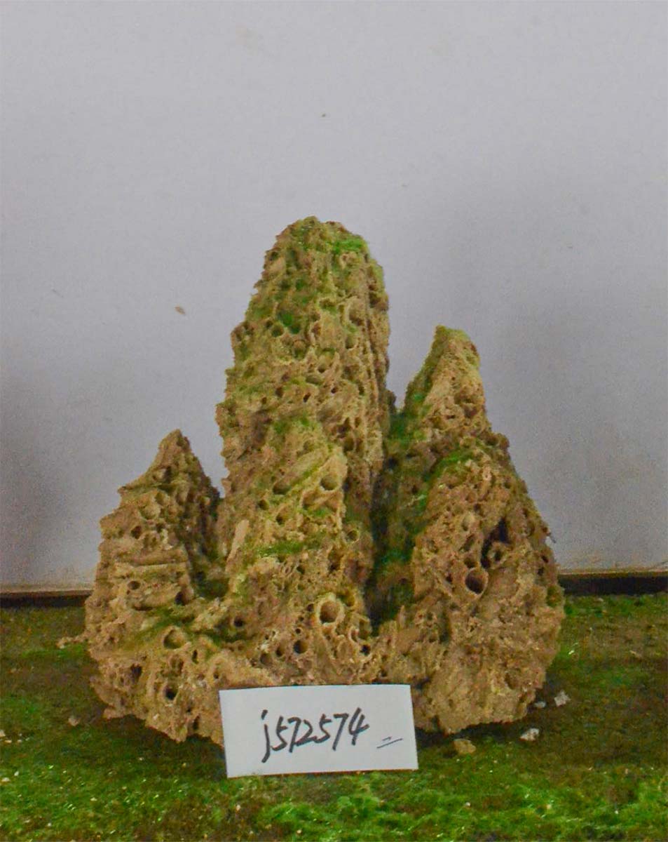 j572574