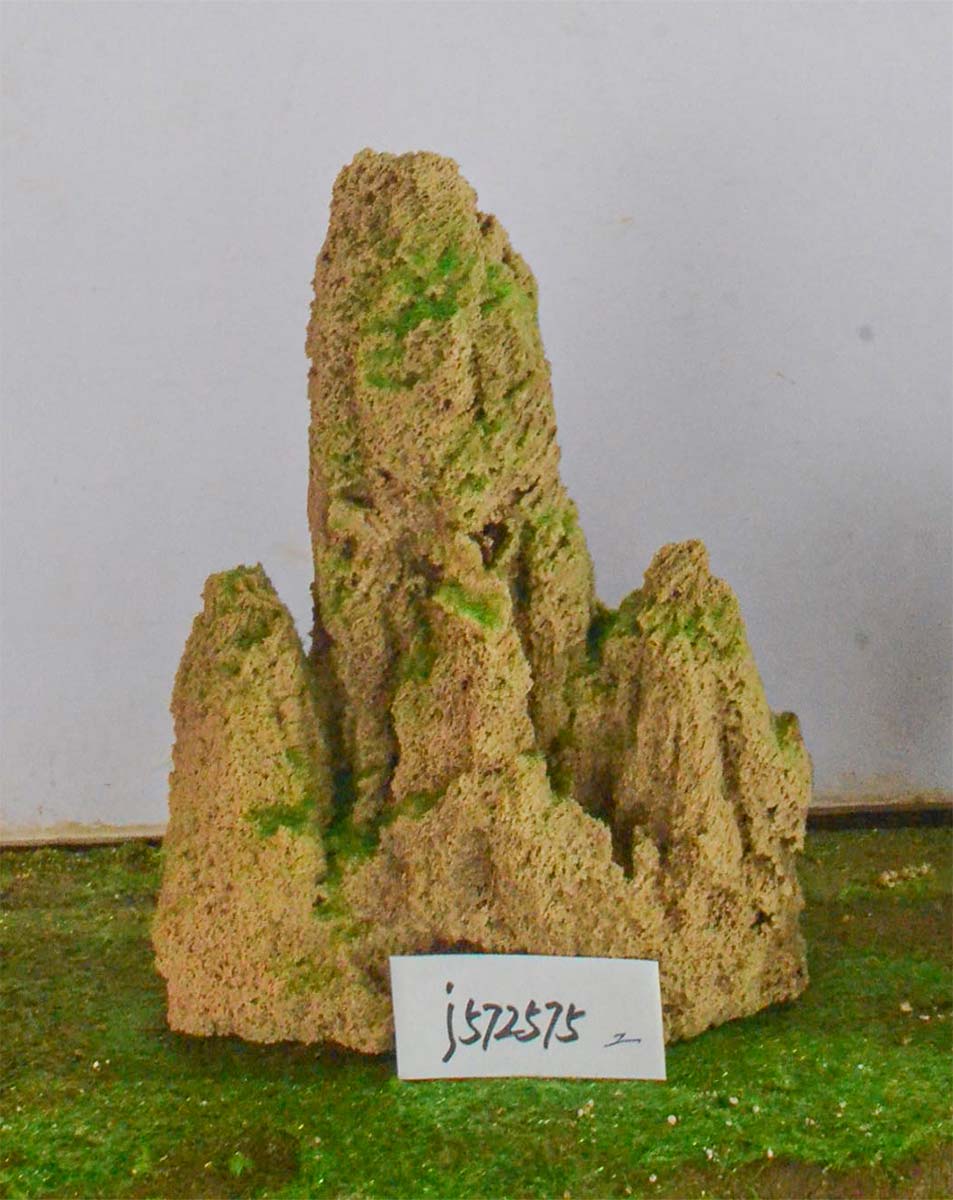 j572575