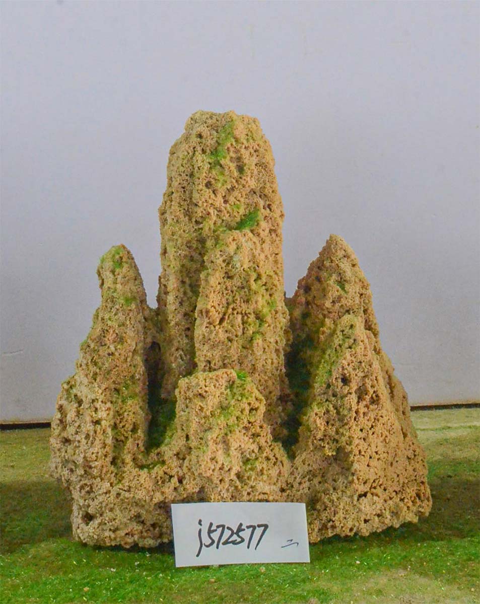j572577