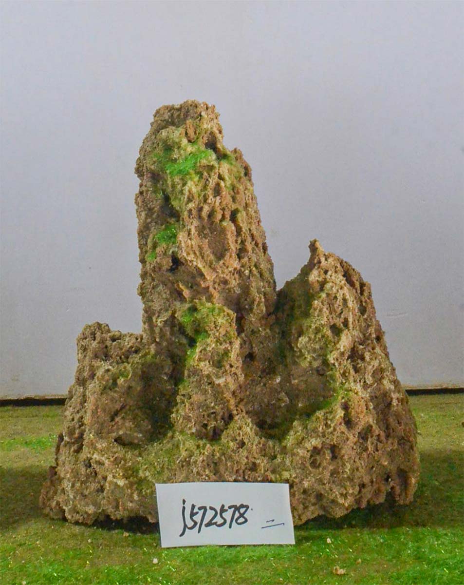 j572578