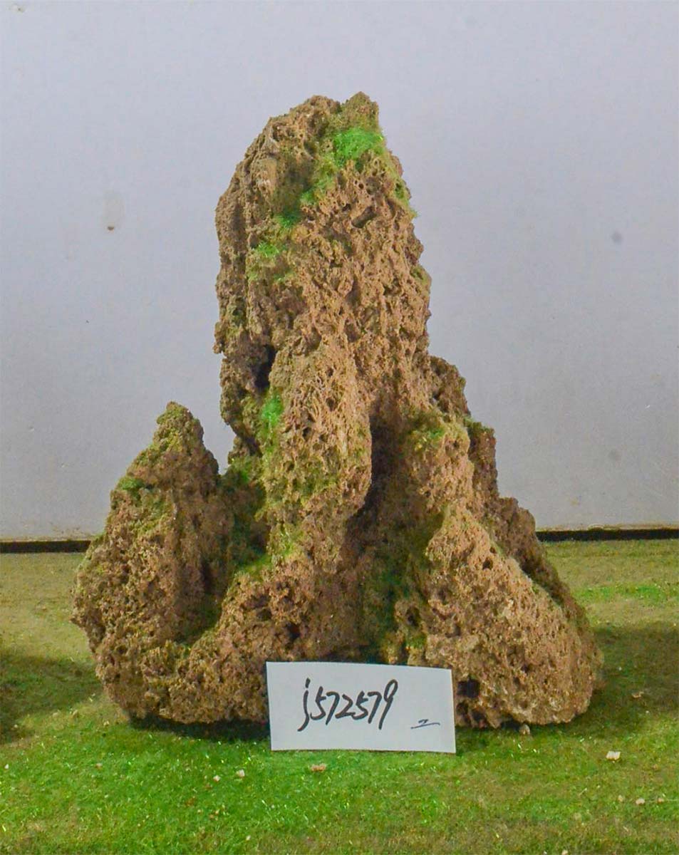 j572579
