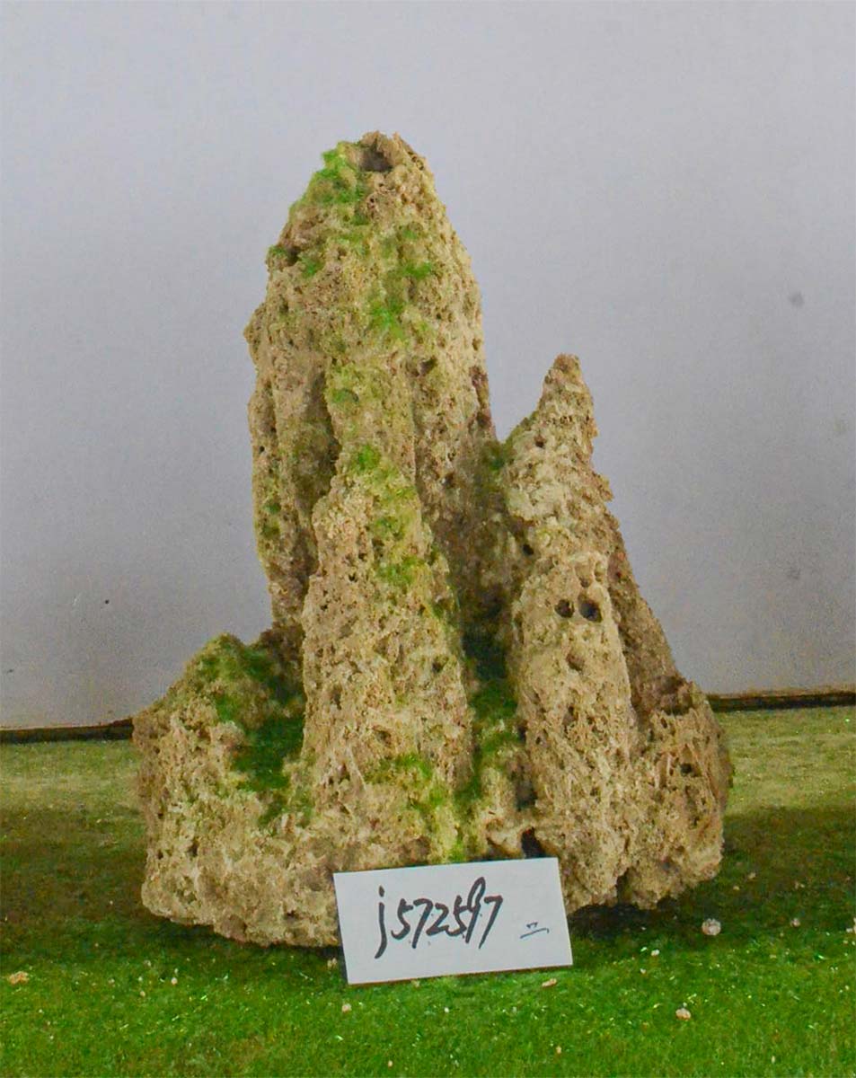 j572597