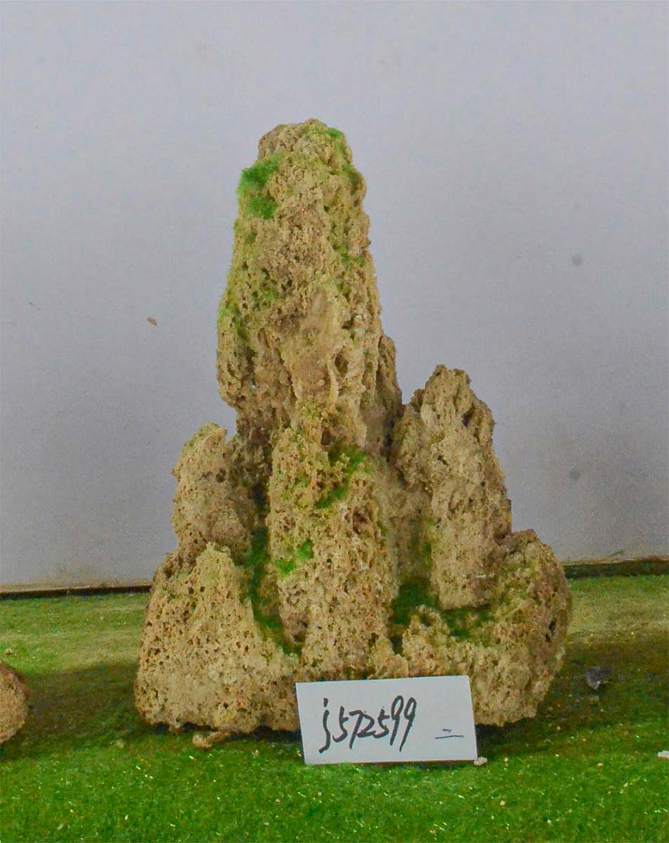 j572599