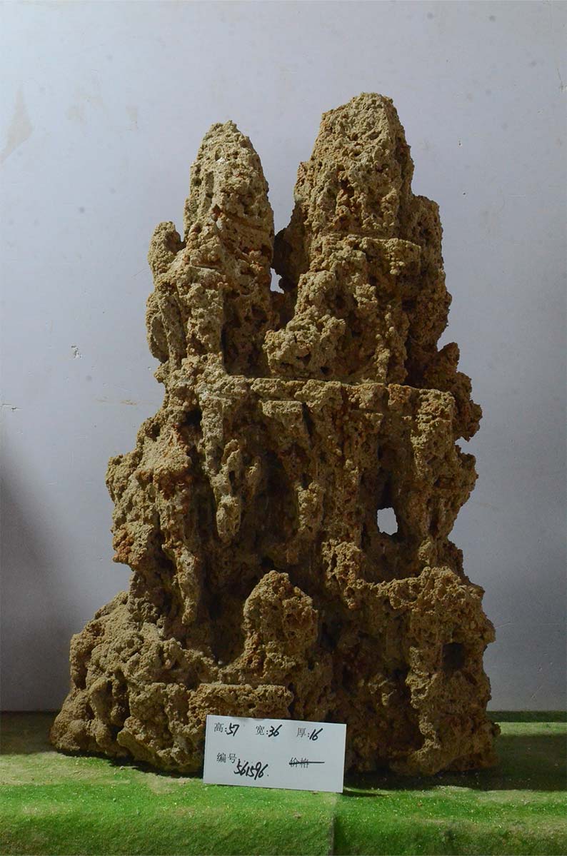 561596